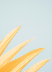 our-services-01-214x300.jpg