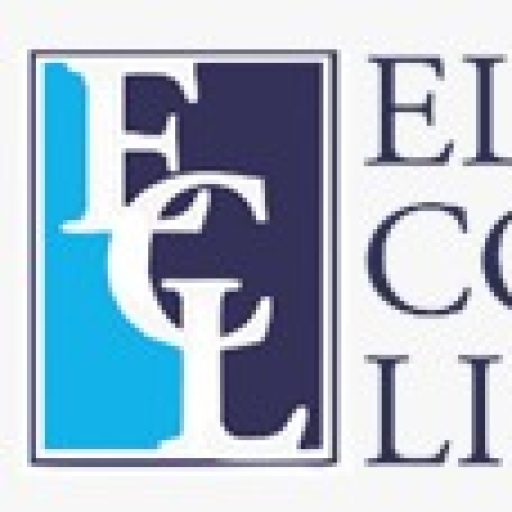 cropped-Eloh-Consulting_Logo.jpeg